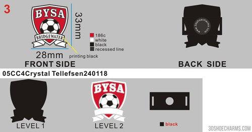 Custom versatile shoe charms-05CC4Crystal Tellefsen240118