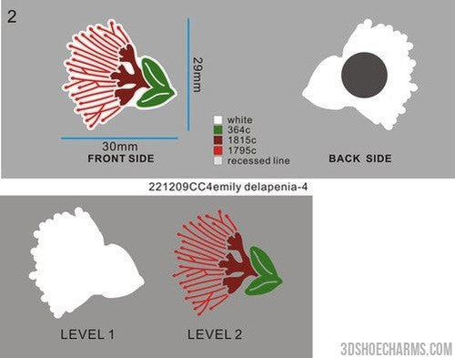 CUSTOM SHOE CHARMS-REORDER 3DSC1558