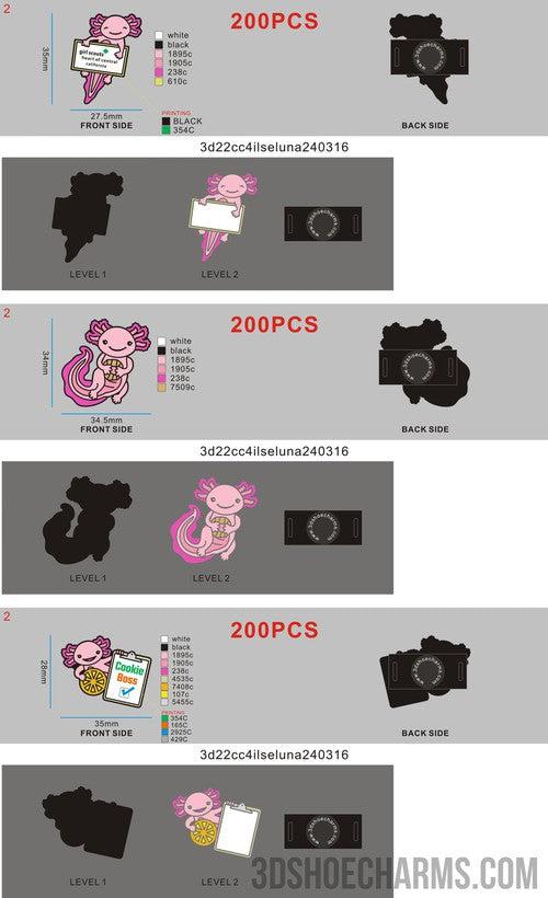 Versatile Shoe Charm-ilseluna