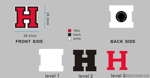 Custom shoe charms-05CC4Kate Murray