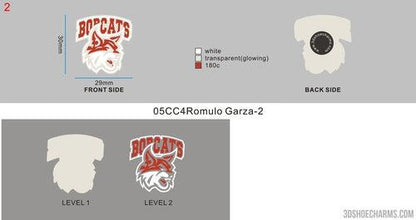 CUSTOM GLOWING SHOE CHARMS-05CC4Romulo Garza