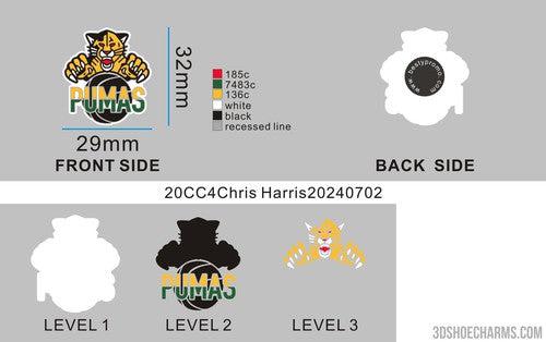 CUSTOM SHOE CHARMS- Reorder 20CC4Chris Harris