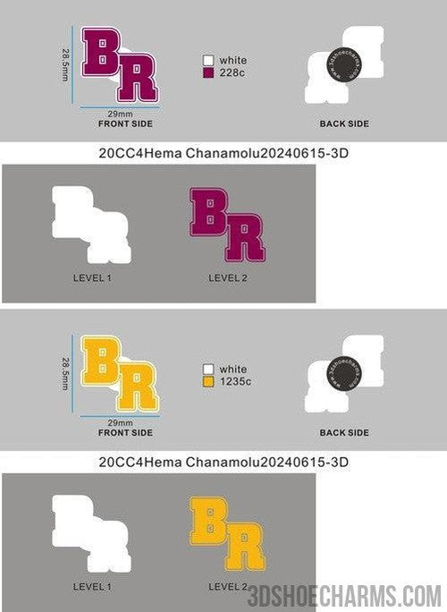 CUSTOM SHOE CHARMS-20CC4Hema Chanamolu