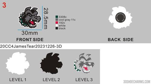 CUSTOM SHOE CHARMS - 20CC4James Tear