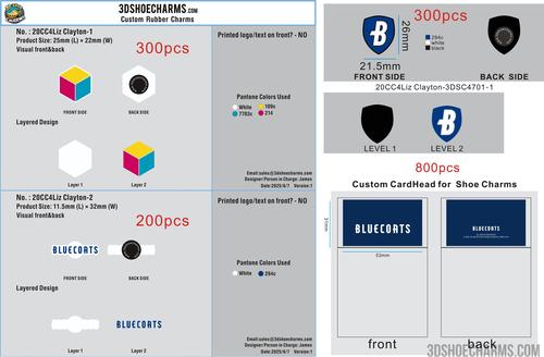Custom Shoe Charm Order-20CC4Liz Clayton-RE