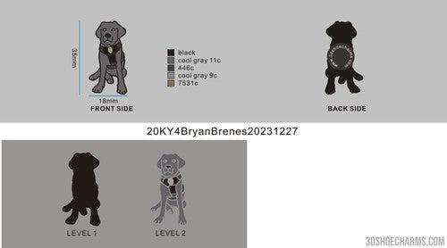 CUSTOM SHOE CHARMS -20CC4Bryan Brenes