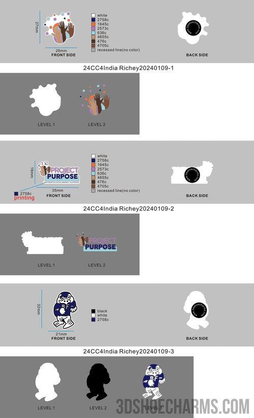 CUSTOM SHOE CHARMS - 24CC4India Richey20240109