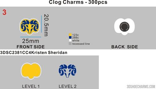 Custom Charms - 3DSC2381