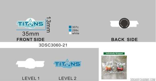 CUSTOM CHARMS 21-Reorder 3DSC3060