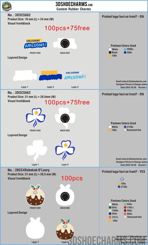 Custom Shoe charms-20CC4Rebekah O'Leary -RE